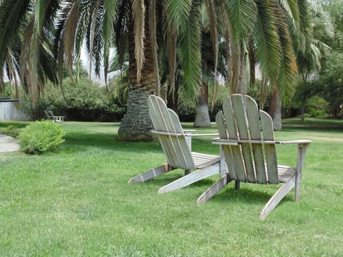 The Parks Inn Bed and Breakfast, Garden