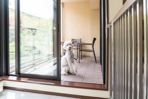 Hyatt Regency Hakone Resort and Spa, Room