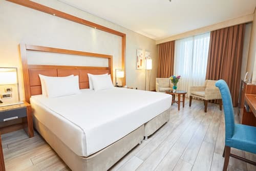 Dedeman Konya Hotel And Convention Center, Room