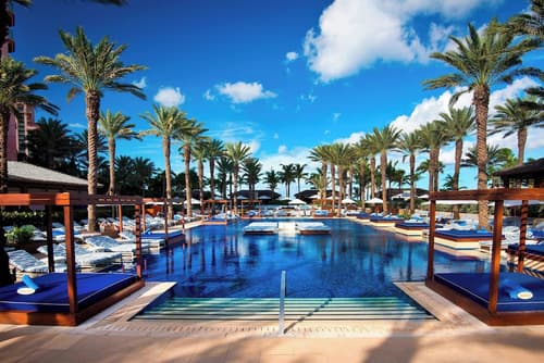 The Cove at Atlantis, Primary image