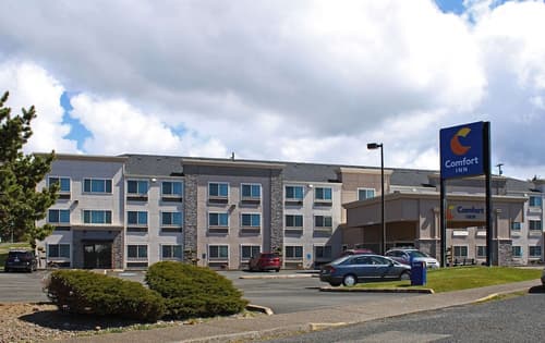 Comfort Inn Newport, Primary image