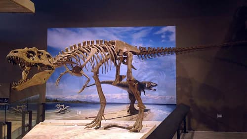 Holiday Inn Express Hotel & Stes Salt Lake City-Airport East by IHG