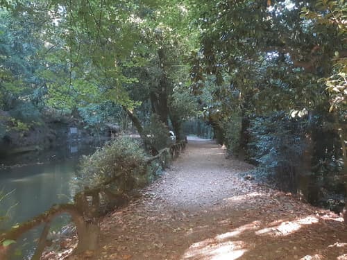 Hotel do Parque, Lake