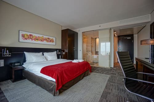 Andersia Hotel & Spa Poznan, a member of Radisson Individuals