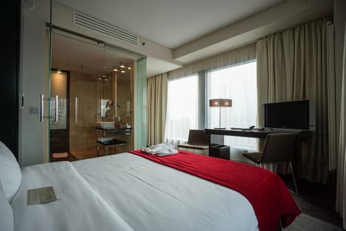 Andersia Hotel & Spa Poznan, a member of Radisson Individuals, Room