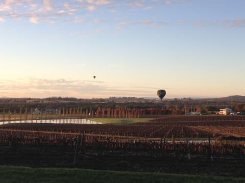 Estate Tuscany, Room