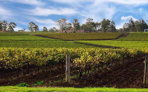 Estate Tuscany, Reception