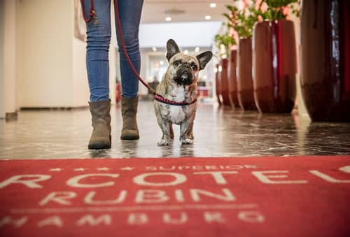 ARCOTEL Rubin Hamburg, Interior entrance