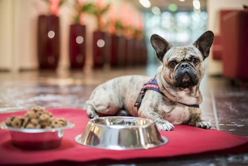 ARCOTEL Rubin Hamburg