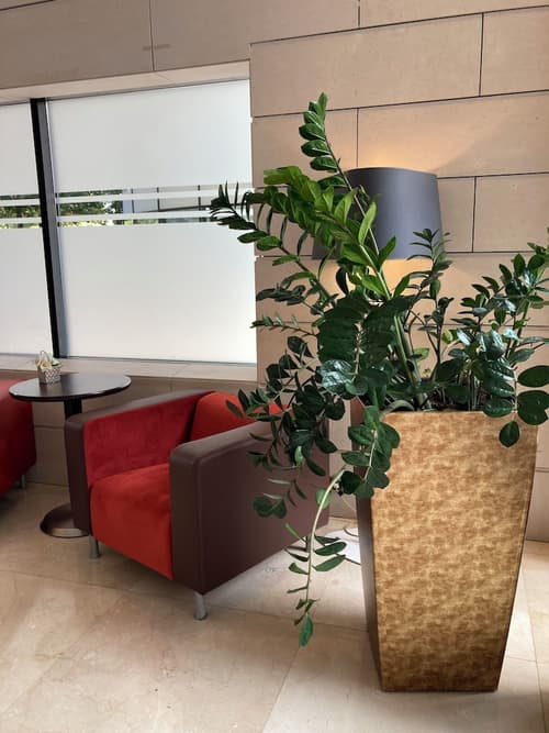 Residhome Val d'Europe, Reception