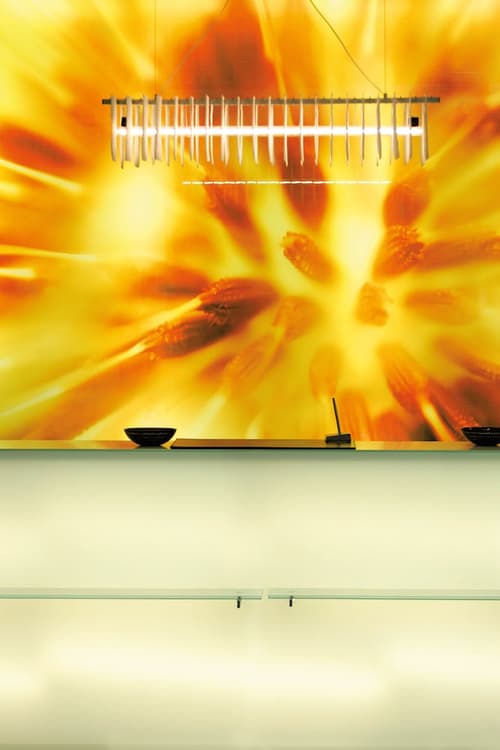 Lindner Hotel Vienna Am Belvedere, part of JdV by Hyatt, Reception