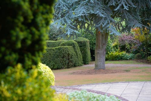 Best Western Plus Centurion Hotel, View from room