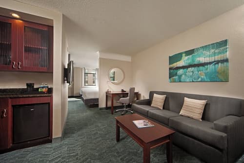 Springhill Suites Marriott Baltimore Downtown/Inner Harbor
