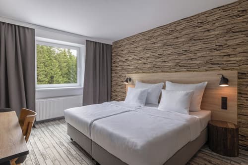 OREA Resort Horizont Šumava, Room