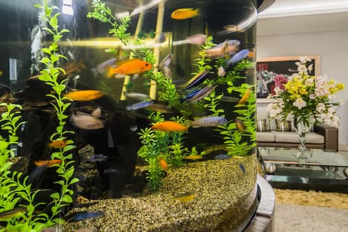 Hotel Egina Medellín, Lobby