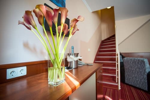 City Home Budapest, Room