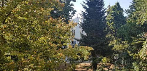 Hotel Michelangelo, Garden view