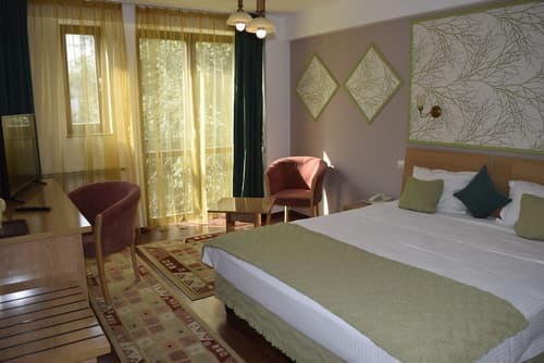 Hotel Michelangelo, Room