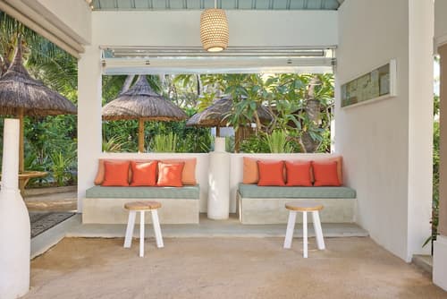 Tropical Attitude - Adults only