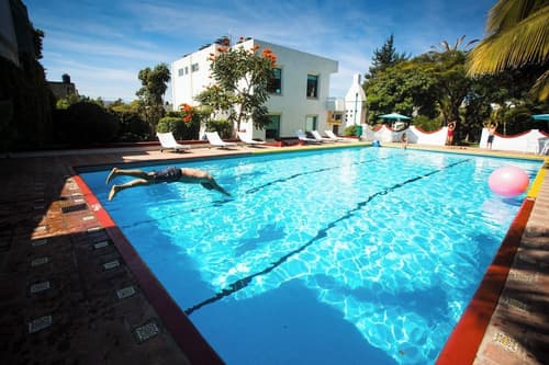 Los Olivos Spa, Primary image