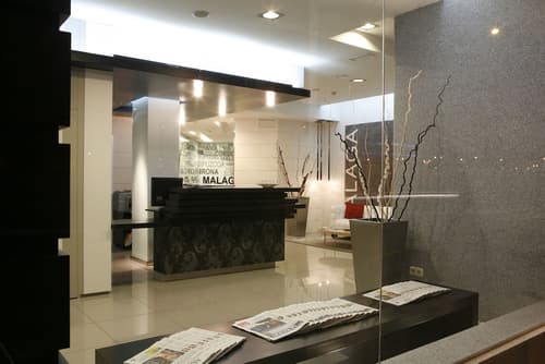 Hotel Guadalmedina, Reception