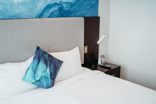 Auckland City Hotel, Room