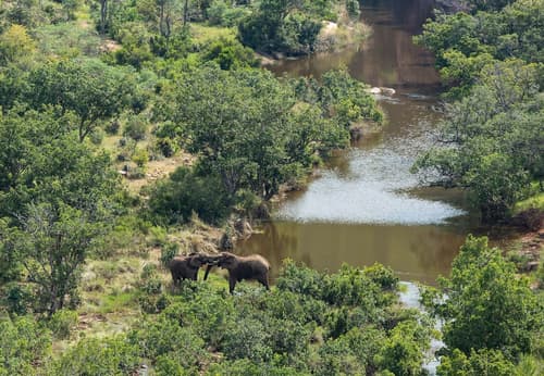 Clifftop Exclusive Safari Hideaway, Game viewing