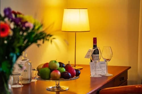 Hotel U Divadla, Room