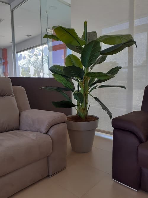 Iberflat Vega De Triana