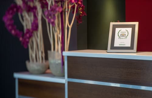 Dodo Hotel, Concierge desk