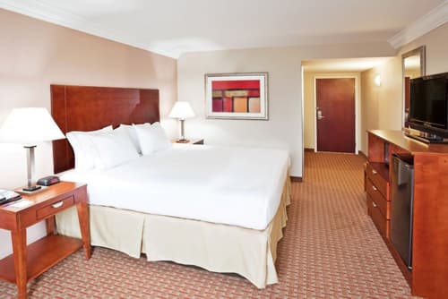 Holiday Inn Express Hotel & Suites Niagara Falls by IHG