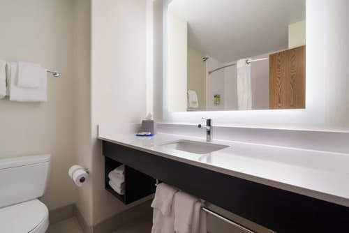 Holiday Inn Express Hotel & Suites Custer by IHG, Room