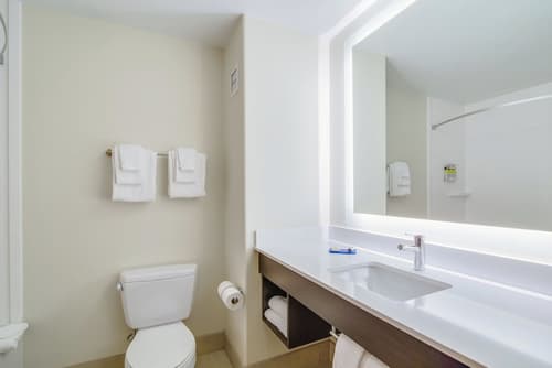 Holiday Inn Express Hotel & Suites Custer by IHG