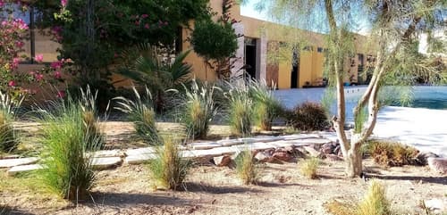 Southern Star Club, Terrace/patio