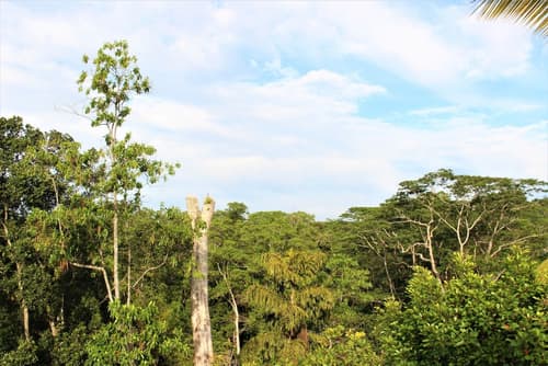 e-stay Hanthana Kandy