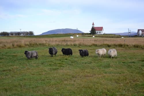 Lambastadir Guesthouse, View from room
