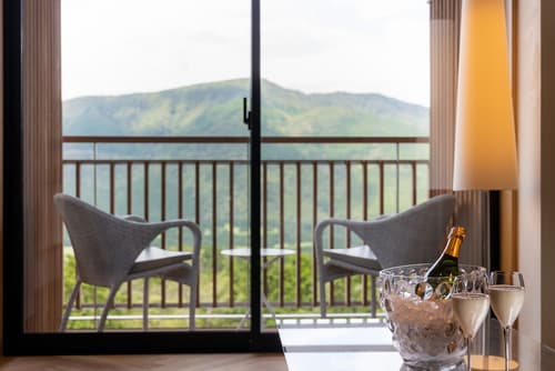 The Hiramatsu Hotels & Resorts Sengokuhara, Room