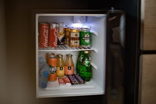 Pao's Sapa Leisure Hotel, Mini-refrigerator