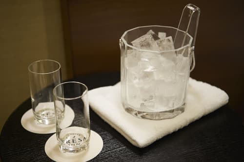 Sotetsu Fresa Inn Ginza Sanchome