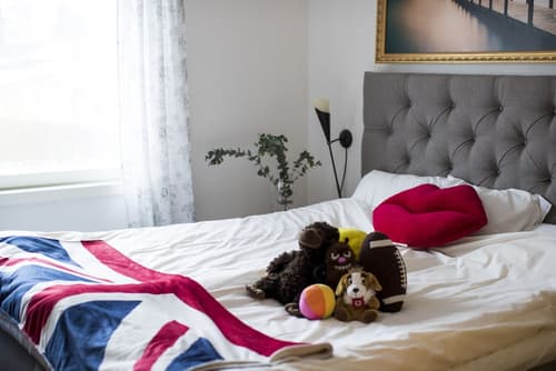 Klintvägen Apartments, Room