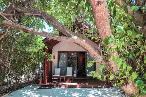 Reethi Faru Resort, Room
