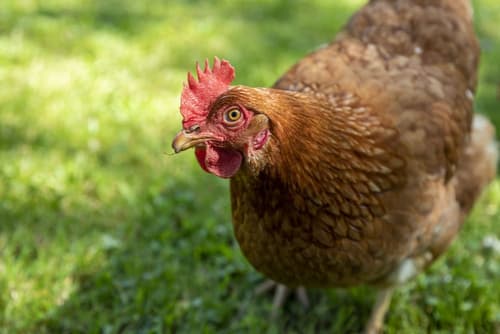 Hotel Casona de Hermosa