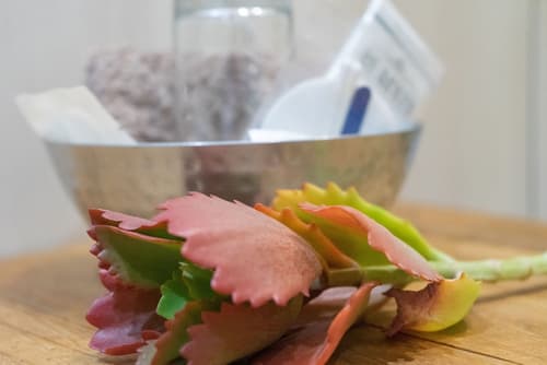 De Akker Guest House