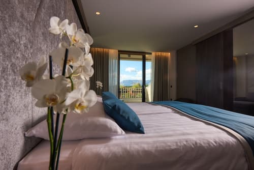 Postojna Cave Hotel Jama, Room