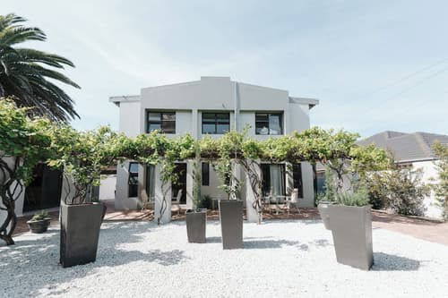 Whale Away Guest House, Terrace/patio