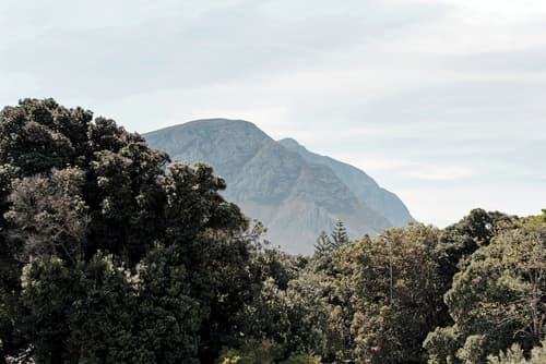 Whale Away Guest House