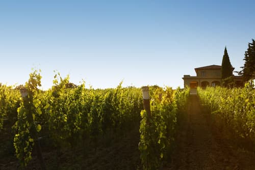 Agriturismo Poggio al Tufo, Garden
