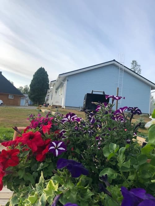 Arctic Resort Delight, Front of property