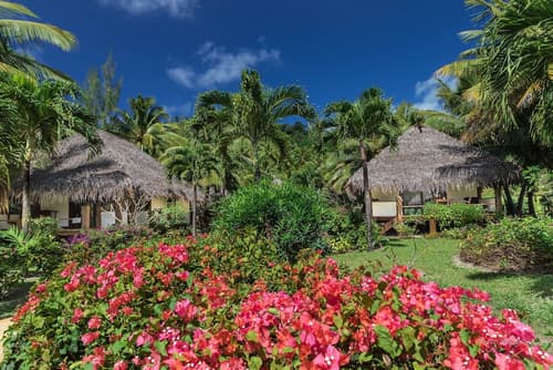 Etu Moana Boutique Beach Villas - Adults Only, Room