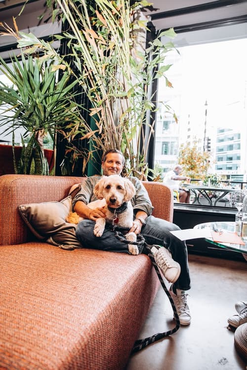 Yours Truly DC, Vignette Collection by IHG